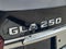 2019 Mercedes-Benz GLA GLA 250