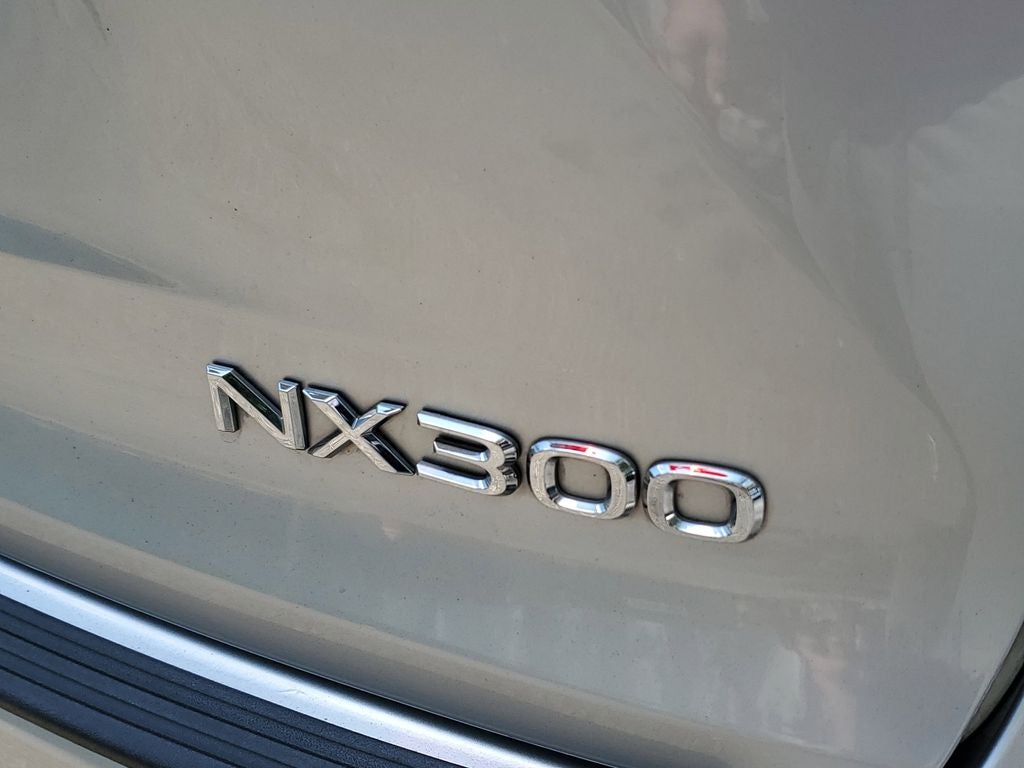 2019 Lexus NX 300 F Sport